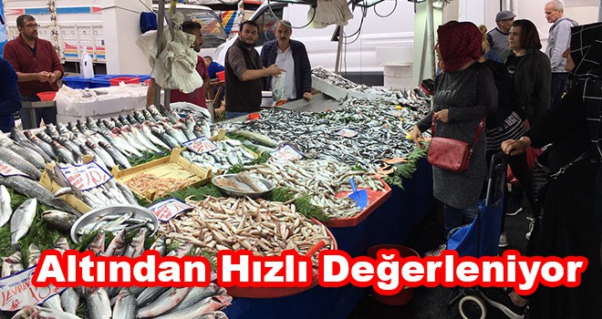 Balık altından hızlı değerleniyor