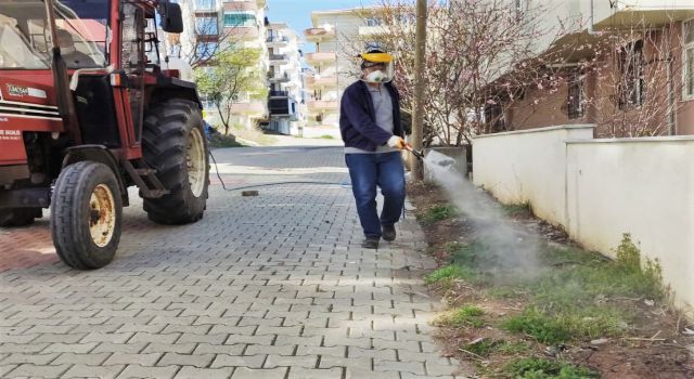 Süleymanpaşa Belediyesi Yabani Otla Mücadele Çalışmalarına Hız Verdi