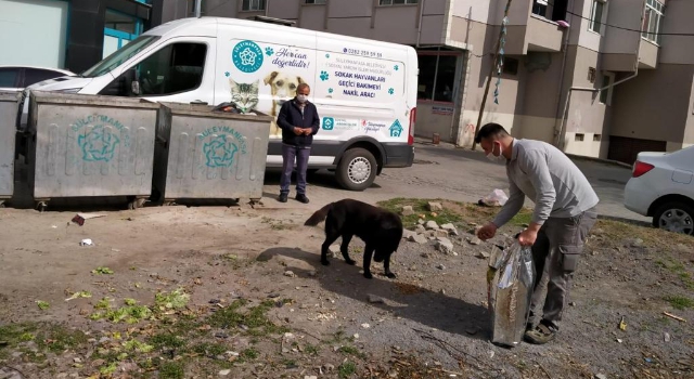 Süleymanpaşa Zabıtasına Emanet