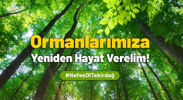 Orman Yangınları İçin Tekirdağ’dan Örnek Davranış