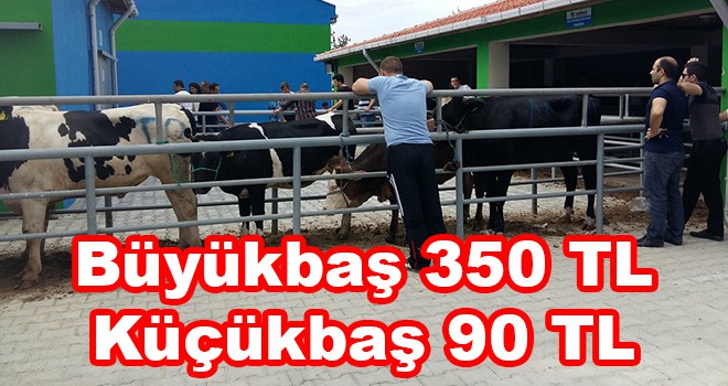 Büyükbaş 350 TL küçükbaş 90 TL