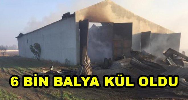 6 bin saman balyası kül oldu