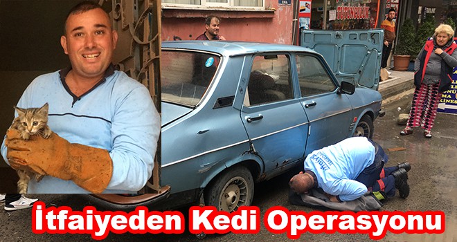 İtfaiyeden kedi kurtarma operasyonu