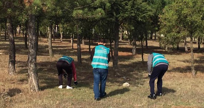 Önerler’deki mesire alanları ve cami, hükümlüler tarafından temizlendi