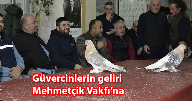 Güvercinlerin geliri Mehmetçik Vakfı’na