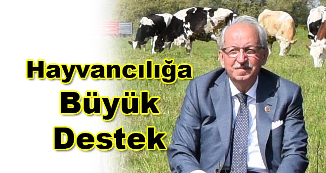 Hayvancılığa Büyük Destek