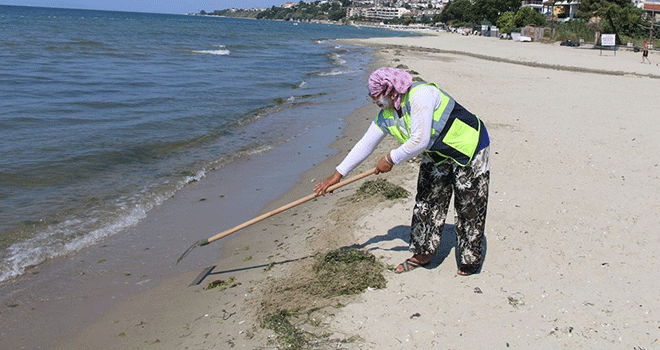 Marmaraereğlisi Sahilleri Temizleniyor