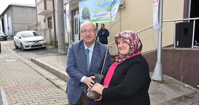 Büyükşehir Belediyesi Hazırladığı Proje İle Ihlamura Can Verdi