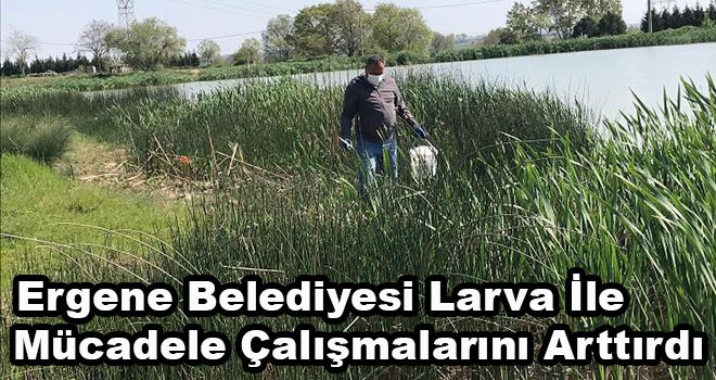 Ergene Belediyesi Larva İle Mücadele Çalışmalarını Arttırdı