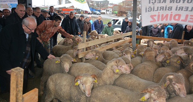 Tekirdağ Büyükşehir Belediyesi’nden Hayvancılığa Büyük Destek