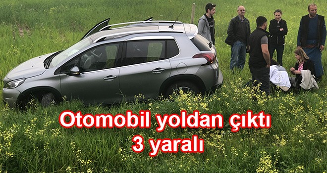 Yoldan çıkan otomobil tarlaya uçtu 3 yaralı