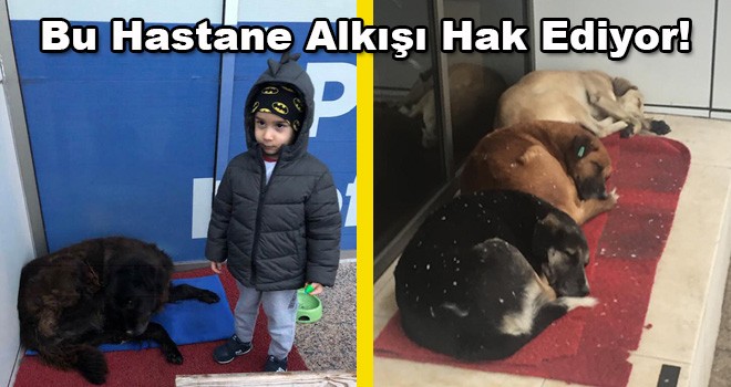 Bu Hastane Alkışı Hak Ediyor