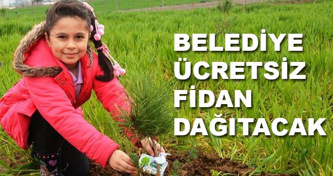 Belediye ücretsiz fidan dağıtacak