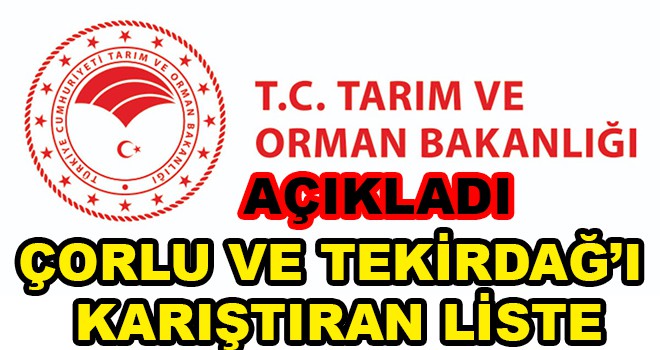 Bakanlık açıkladı işte Tekirdağ’ı karıştıran o liste