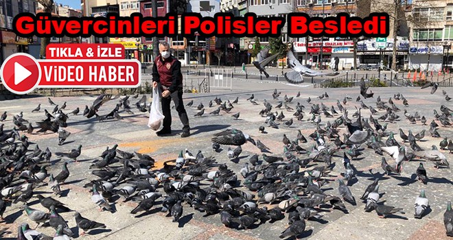 Güvercinleri Polisler Besledi