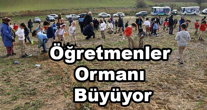 Çorlu Öğretmenler Ormanı büyüyor