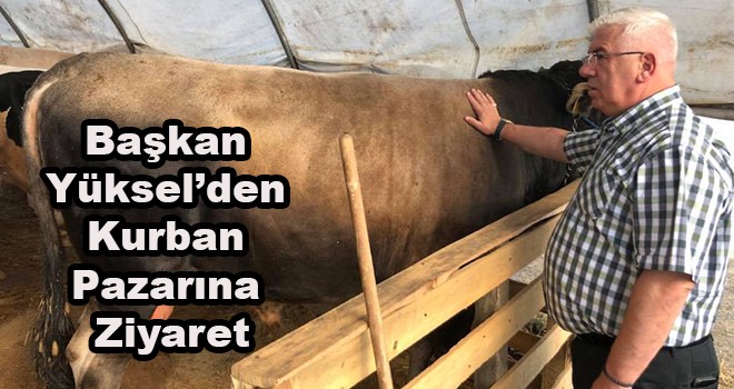 Başkan Yüksel'den Kurban Pazarına Ziyaret