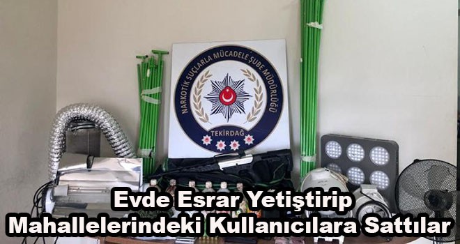 Evde Esrar Yetiştirip Mahallelerindeki Kullanıcılara Sattılar