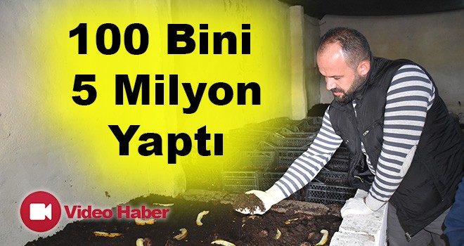 100 Bini 5 Milyon Yaptı