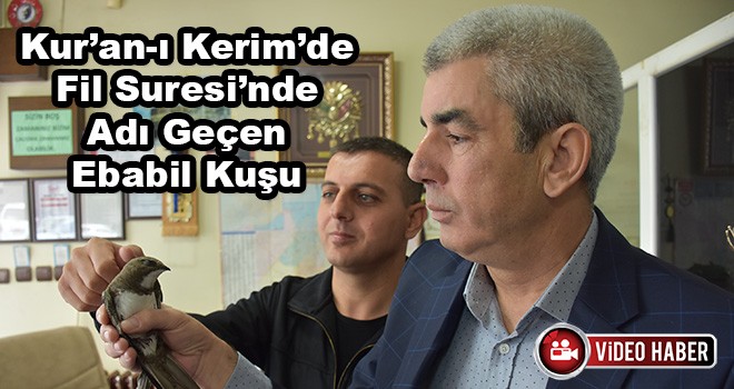 Bu Kuşu Görenin Ömrü Uzuyor