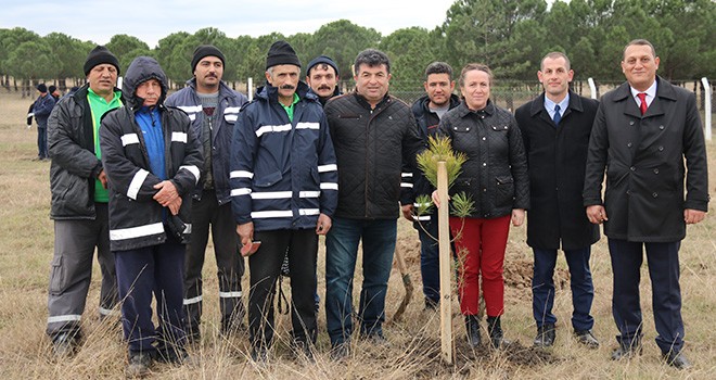 Daha Yeşil Bir Ergene İçin Bin Adet Ağaç Dikildi