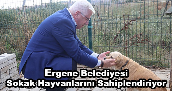 Ergene Belediyesi Sokak Hayvanlarını Sahiplendiriyor