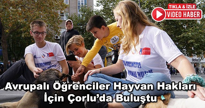 Avrupalı Öğrenciler Hayvan Hakları İçin Çorlu’da Buluştu