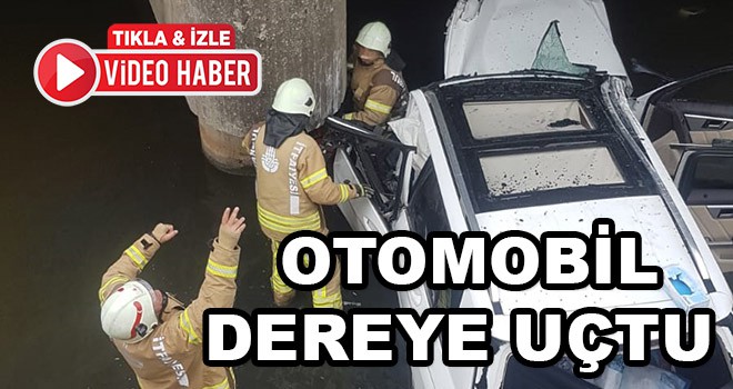 Dereye Uçan Otomobilin Sürücüsü Öldü