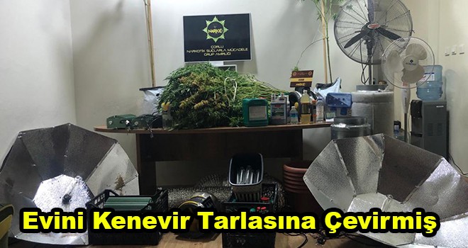 Evini Kenevir Tarlasına Çevirmiş