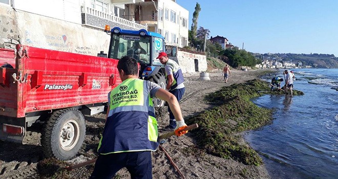 Tekirdağ’da Temizlik Operasyonu