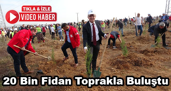 Çorlu’da 20 bin fidan toprakla buluştu