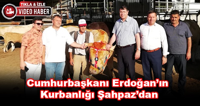 Cumhurbaşkanı Erdoğan’ın Kurbanlığı Çorlu’dan