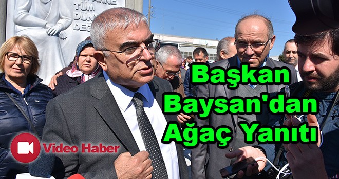 Başkan Baysan'dan Ağaç Yanıtı