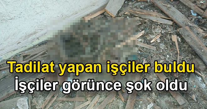 İşçilerin tavan arasında buldukları şok etti